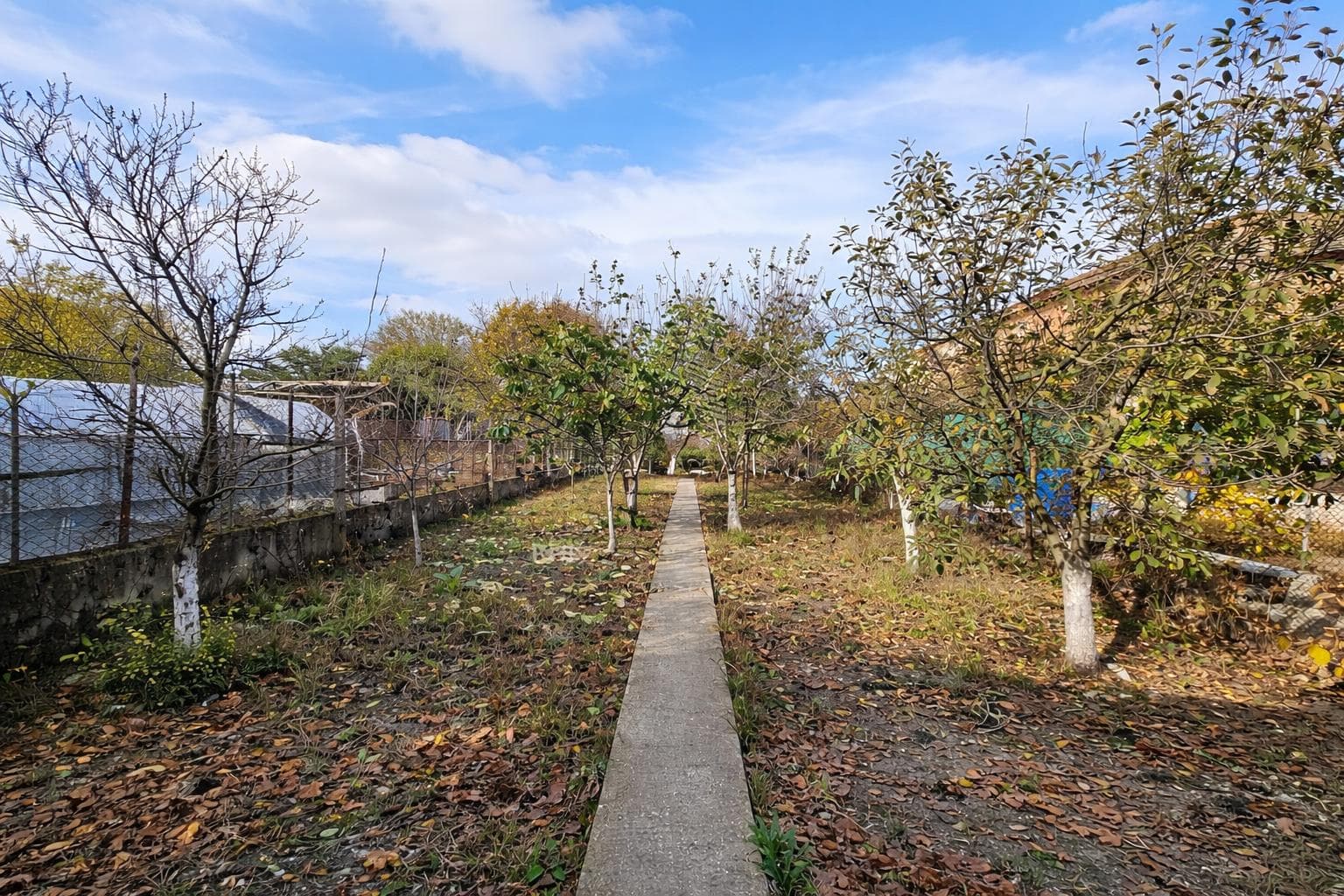CASA COCHETA IN INIMA ORASULUI OVIDIU LANGA PRIMARIE - 18