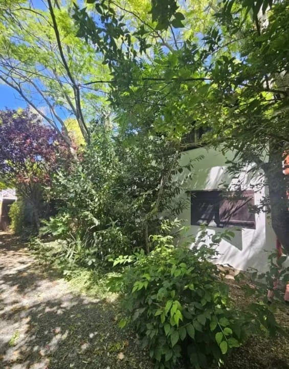 Casa in Vama Veche la pret de apartament - 8