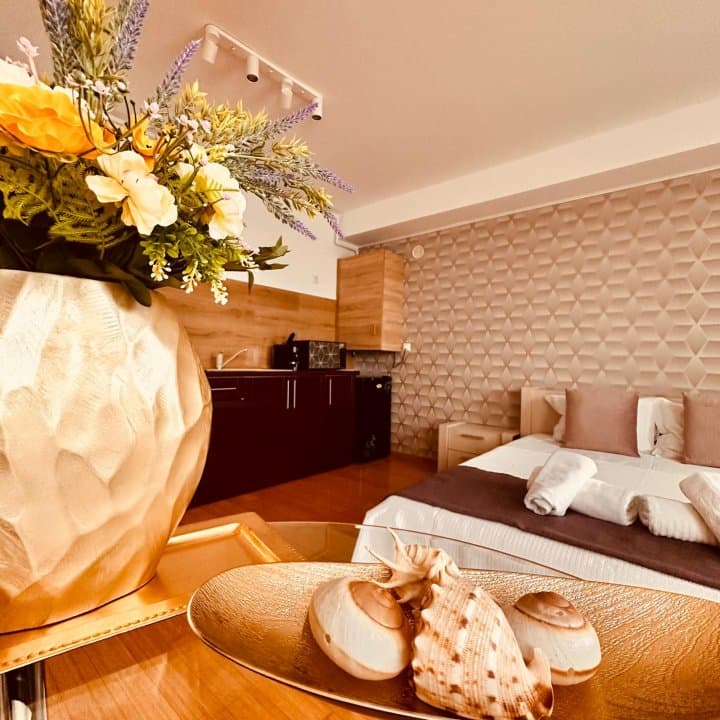 STATIUNEA MAMAIA-STUDIO MOBILAT SI UTILAT MODERN - 6