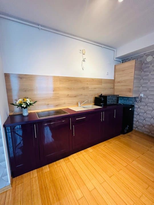 STATIUNEA MAMAIA-STUDIO MOBILAT SI UTILAT MODERN - 10