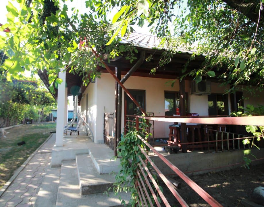 Casa La Tara  - 2700MP - Tichilesti Constanta - Vita De Vie - Pomi Fructiferi - 2