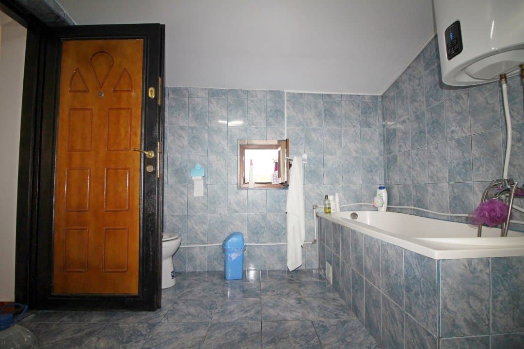 Casa La Tara  - 2700MP - Tichilesti Constanta - Vita De Vie - Pomi Fructiferi - 21