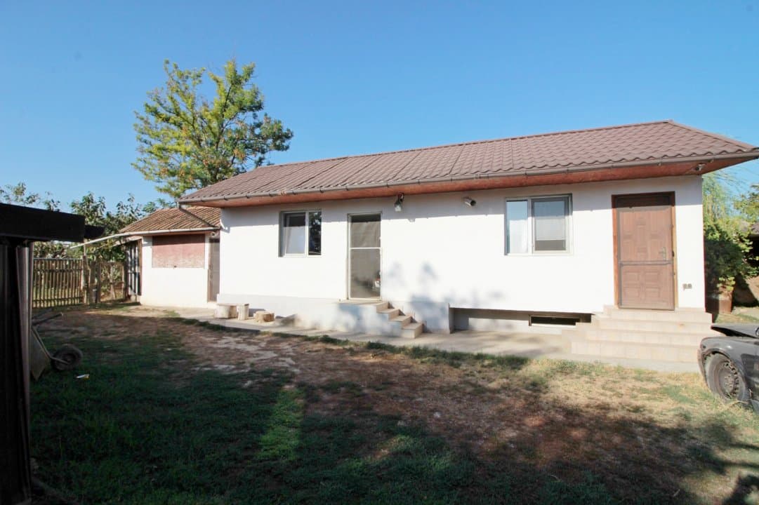 Casa La Tara  - 2700MP - Tichilesti Constanta - Vita De Vie - Pomi Fructiferi - 22