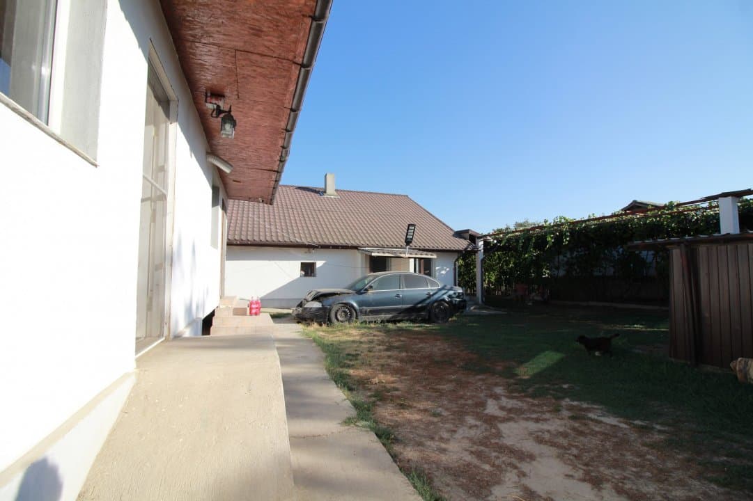 Casa La Tara  - 2700MP - Tichilesti Constanta - Vita De Vie - Pomi Fructiferi - 23