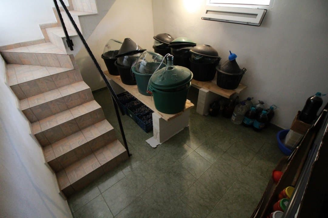 Casa La Tara  - 2700MP - Tichilesti Constanta - Vita De Vie - Pomi Fructiferi - 27