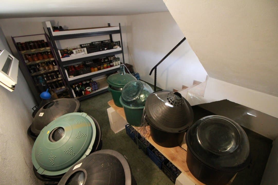 Casa La Tara  - 2700MP - Tichilesti Constanta - Vita De Vie - Pomi Fructiferi - 28