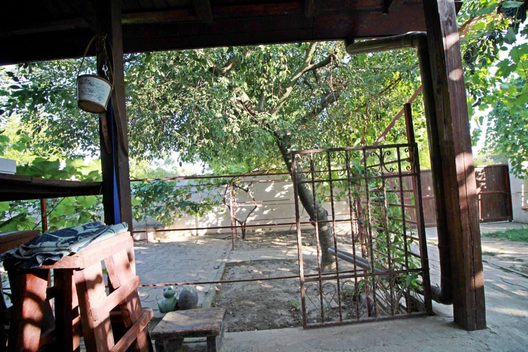 Casa La Tara  - 2700MP - Tichilesti Constanta - Vita De Vie - Pomi Fructiferi - 30