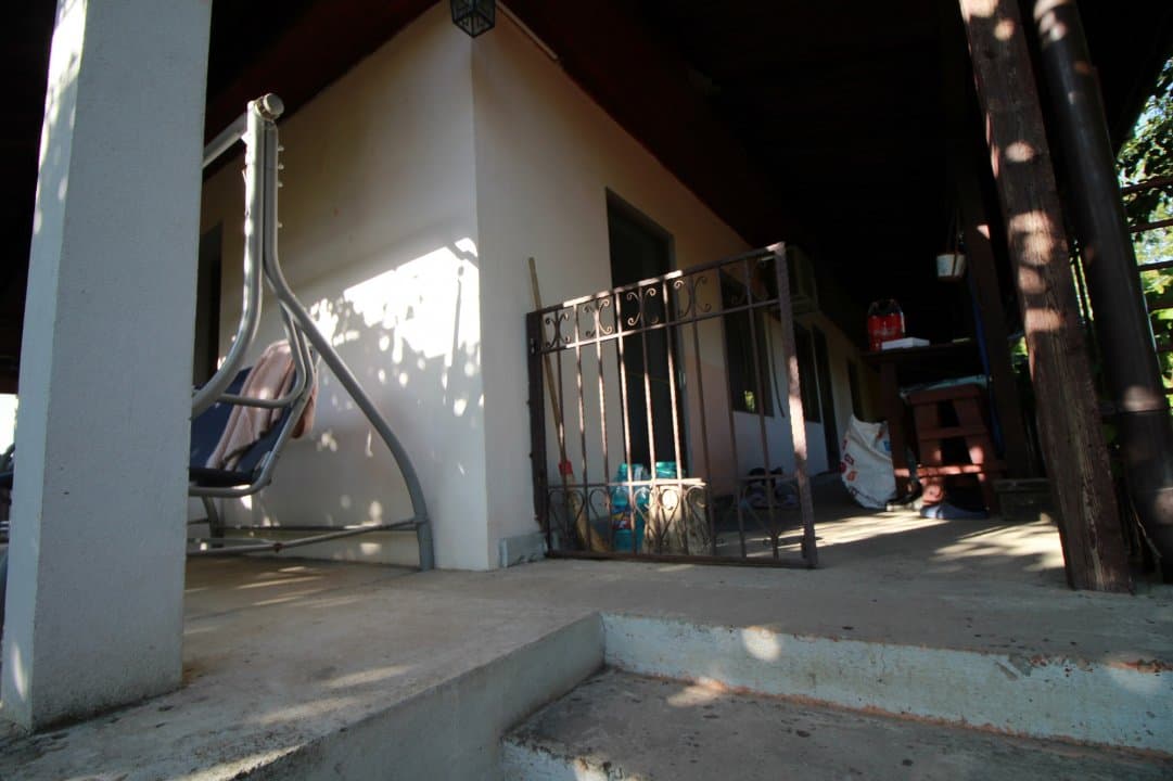 Casa La Tara  - 2700MP - Tichilesti Constanta - Vita De Vie - Pomi Fructiferi - 4