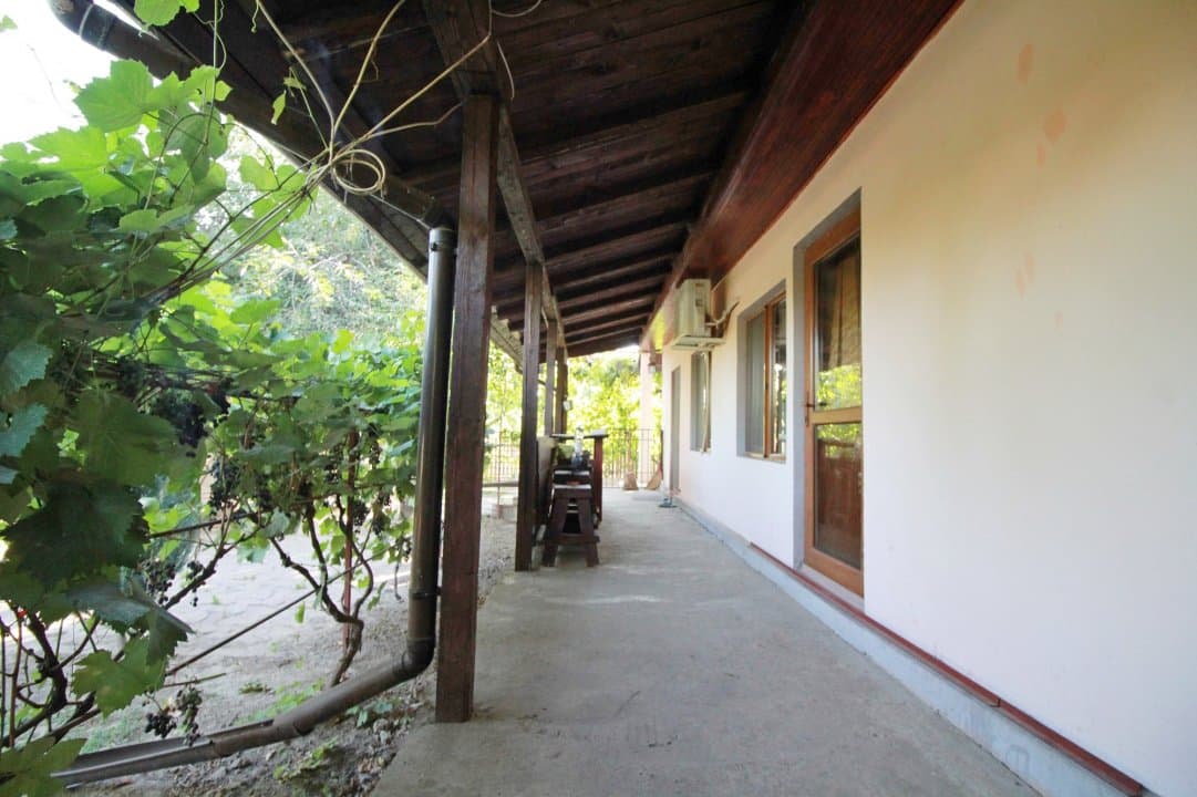 Casa La Tara  - 2700MP - Tichilesti Constanta - Vita De Vie - Pomi Fructiferi - 31