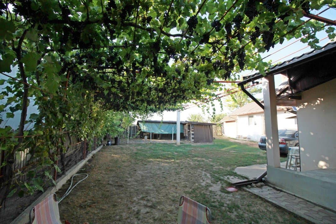 Casa La Tara  - 2700MP - Tichilesti Constanta - Vita De Vie - Pomi Fructiferi - 32