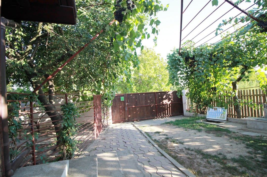 Casa La Tara  - 2700MP - Tichilesti Constanta - Vita De Vie - Pomi Fructiferi - 33