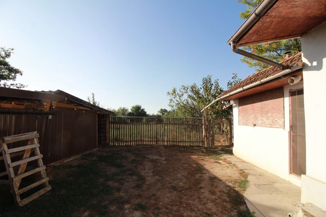 Casa La Tara  - 2700MP - Tichilesti Constanta - Vita De Vie - Pomi Fructiferi - 34