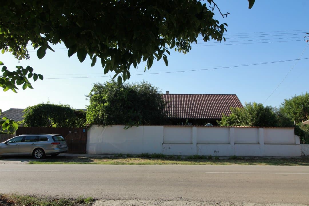 Casa La Tara  - 2700MP - Tichilesti Constanta - Vita De Vie - Pomi Fructiferi - 35