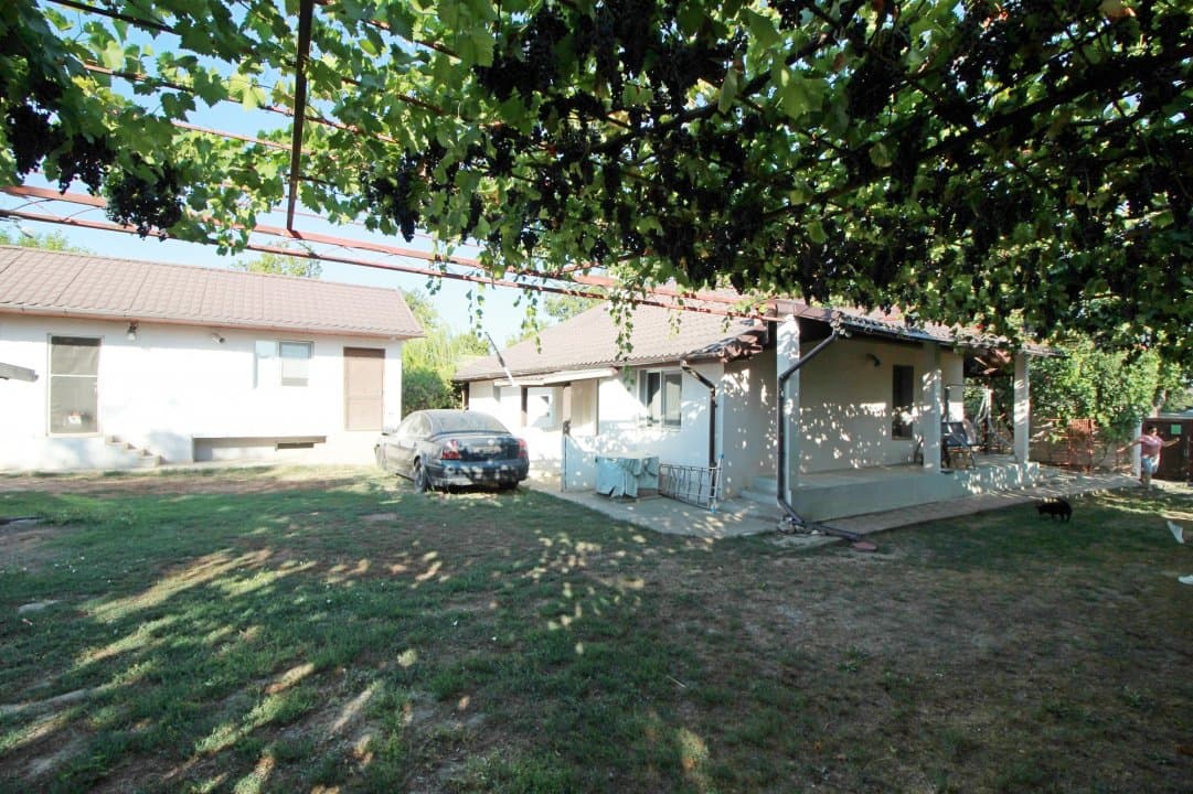 Casa La Tara  - 2700MP - Tichilesti Constanta - Vita De Vie - Pomi Fructiferi - 5