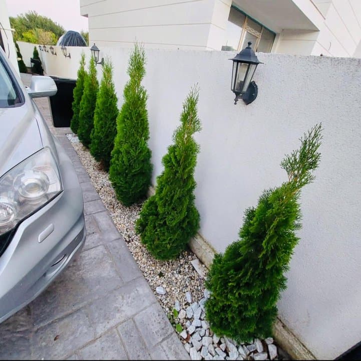 Casa P+1 Tip Duplex - Mamaia Nord - Mobilata Complet - Toate utilitatile - 16