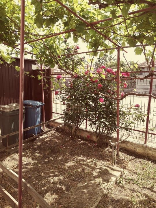 Casa Valu Lui Traian  - Teren 600 Mp - Centrala Pe Gaze - 3