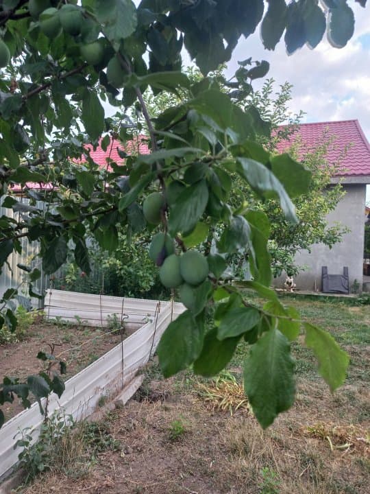 Casa Valu Lui Traian  - Teren 600 Mp - Centrala Pe Gaze - 5