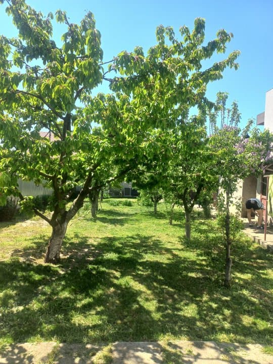 Casa Valu Lui Traian  - Teren 600 Mp - Centrala Pe Gaze - 6