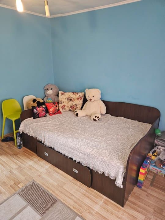 Casa 4 Camere - Teren 427 Mp - Viile Noi - Centrala Pe Gaze - 8