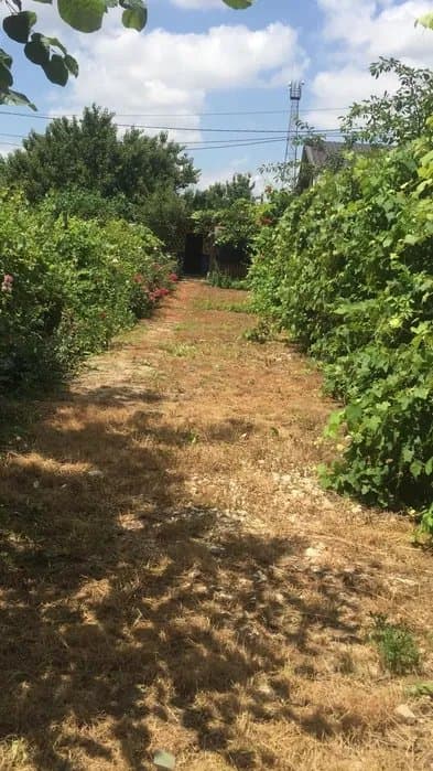 Teren 3409 mp - Lazu Constanta - Ideal Investitie - 3