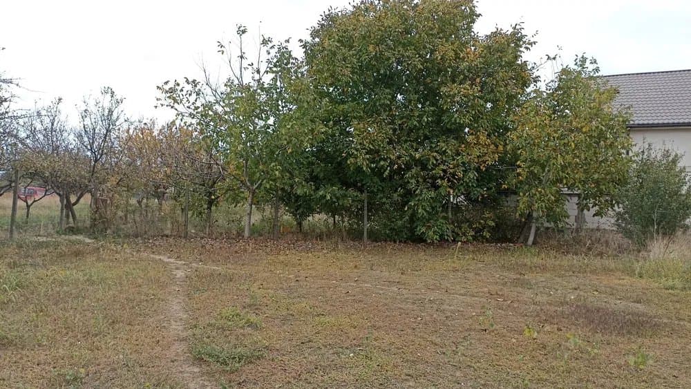 Teren 3409 mp - Lazu Constanta - Ideal Investitie - 4