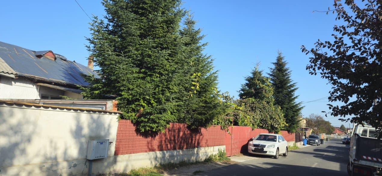 Casa Batraneasca - Valu Lui Traian - Teren 650 Mp - 3