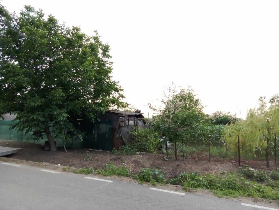 Casa 4 Camere - Teren 1750 Mp + Teren 2500 Mp - Topraisar - Sat Potarnichea - 4