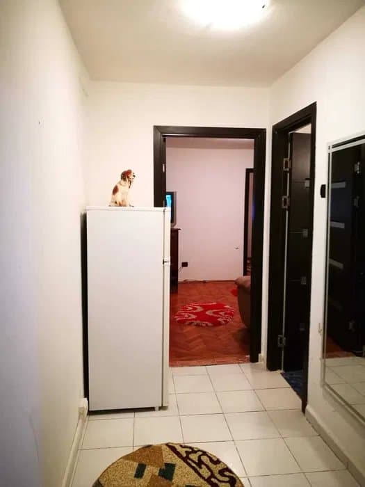 Apartament 2 Camere - Tomis Nord - Brotacei - Etaj 1 - 3