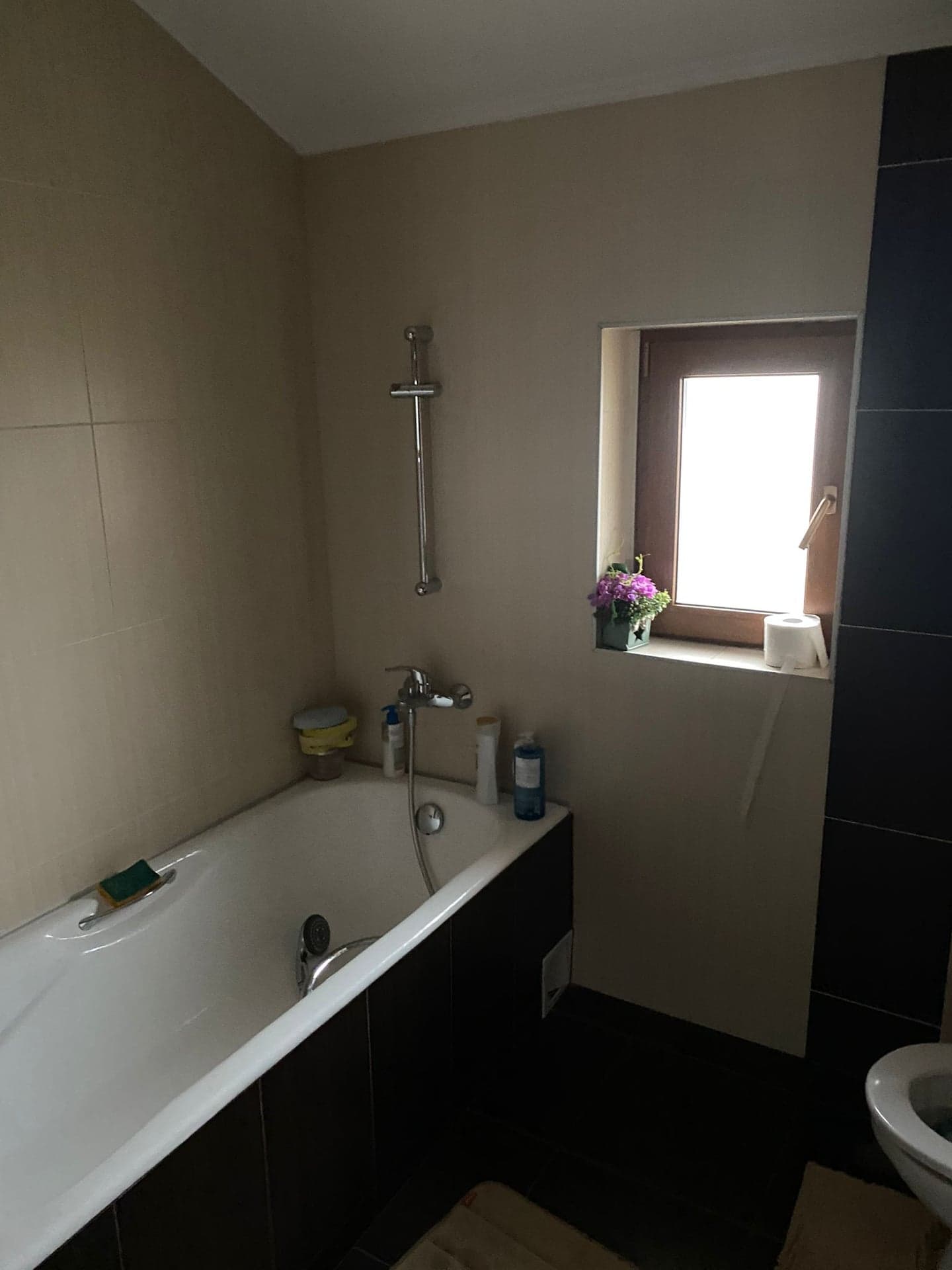 Vila P+1 - Ovidiu Lac - Teren 210 Mp - Mobilata Utilata Complet - 9