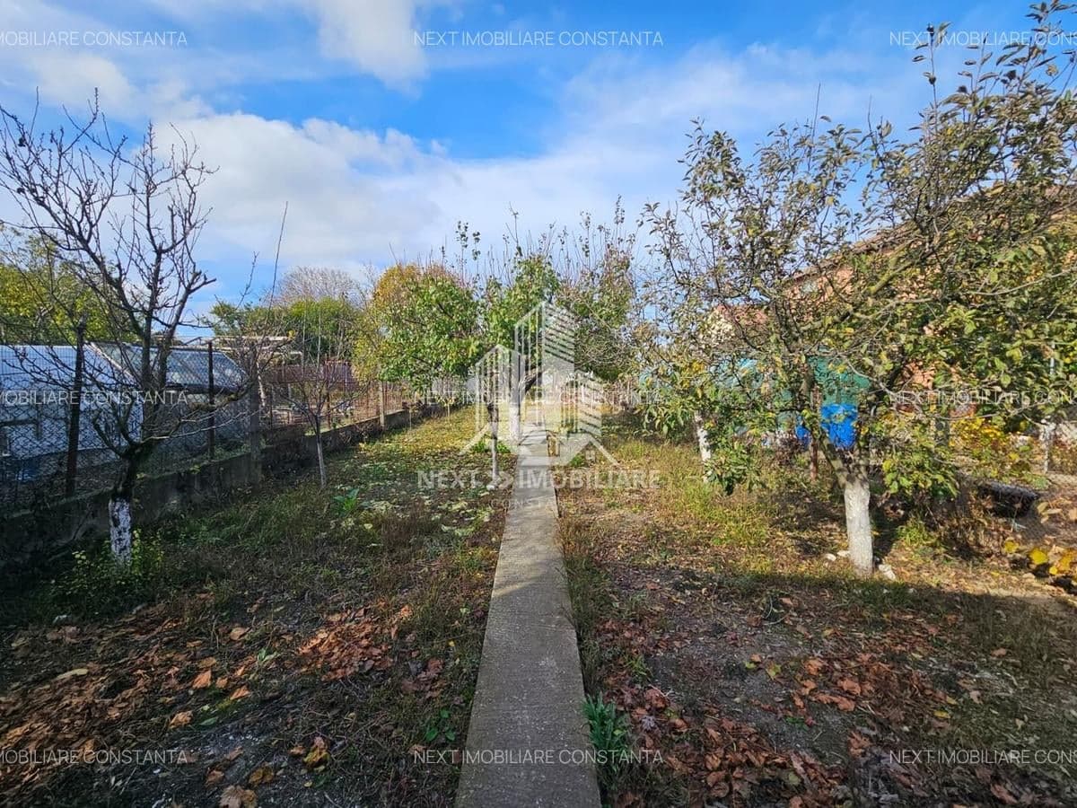 CASA COCHETA IN INIMA ORASULUI OVIDIU LANGA PRIMARIE