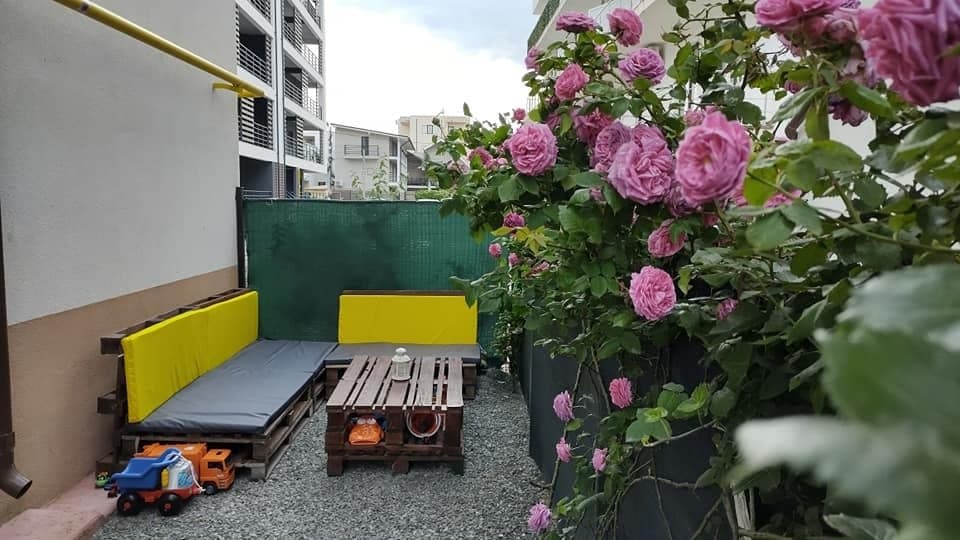 Apartament Cu Curte - La Doi Pasi De Plaja - Loc Parcare ! - 4