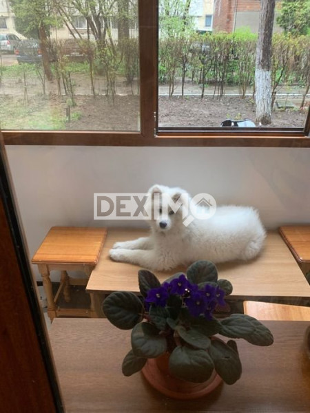 Apartament 2 Camere - Zona Far - Mobilat/Utilat - Centrala Pe Gaze