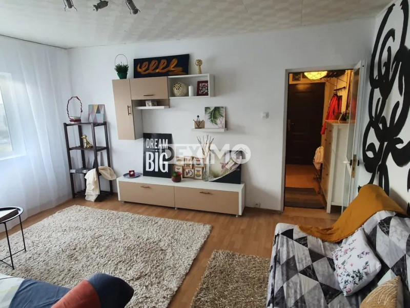 Apartament 2 Camere - Inel II - Mobilat - Gaze La Usa