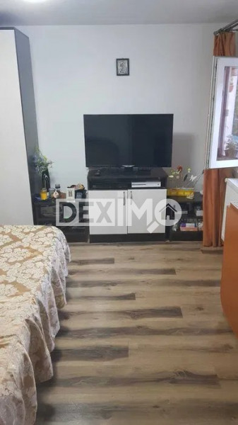 Casa 4 Camere - Viile Noi - Renovata - Centrala Pe Gaze