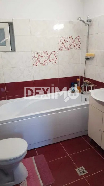 Casa 4 Camere - Viile Noi - Renovata - Centrala Pe Gaze