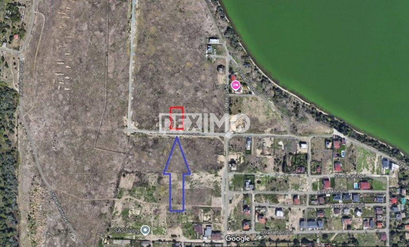 Teren 1000 Mp - Palazu Mare  - Oportunitate Investitie