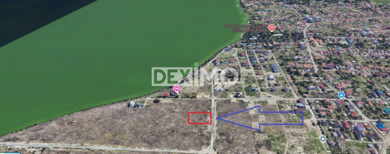 Teren 1000 Mp - Palazu Mare  - Oportunitate Investitie