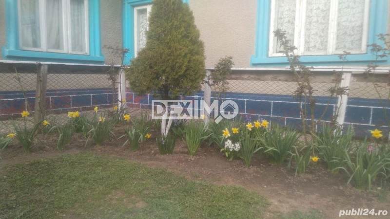 PALAZU MARE-CASA RENOVABILA/DEMOLABILA TEREN 904 MP