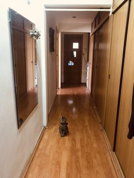 Apartament 3 camere Decomandate - Zona Dacia - Gaze - Izolat