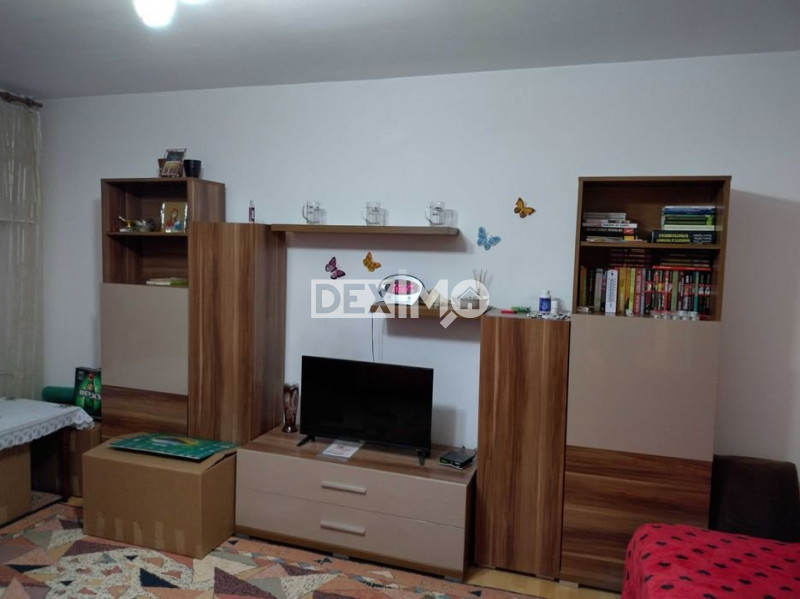 Apartament 2 Camere - Zona Inel II - Parter - Mobilat/Utilat  